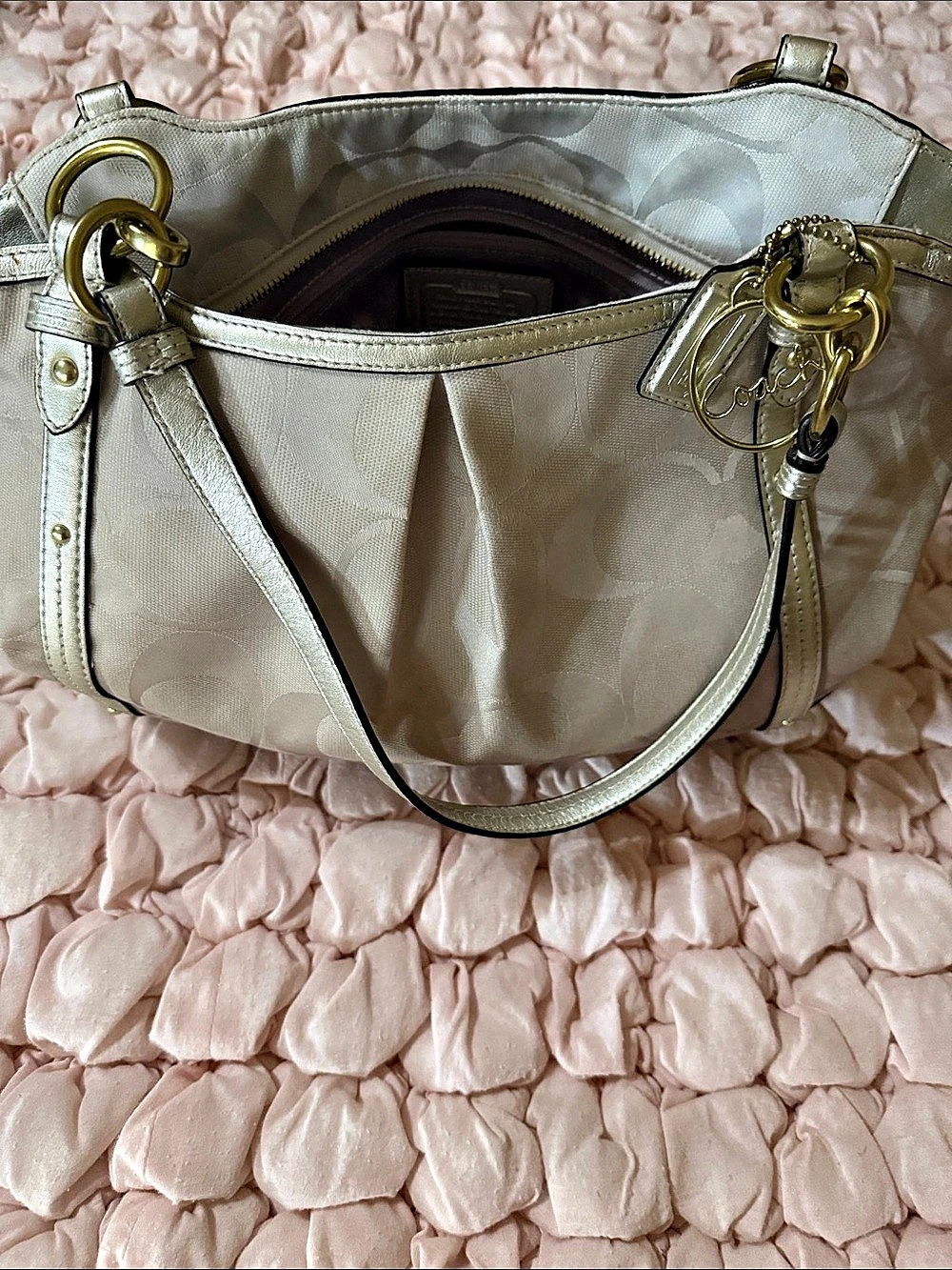 Coach Metallic Shoulder Bag